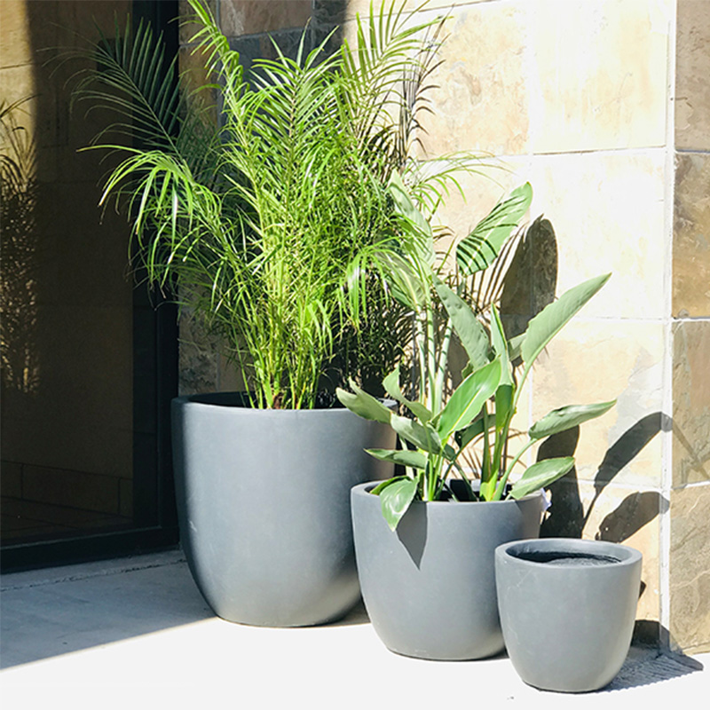 affordable concrete planters