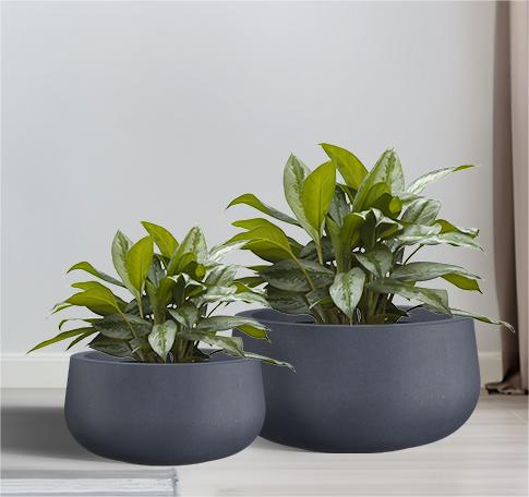 sleek fiberglass pots