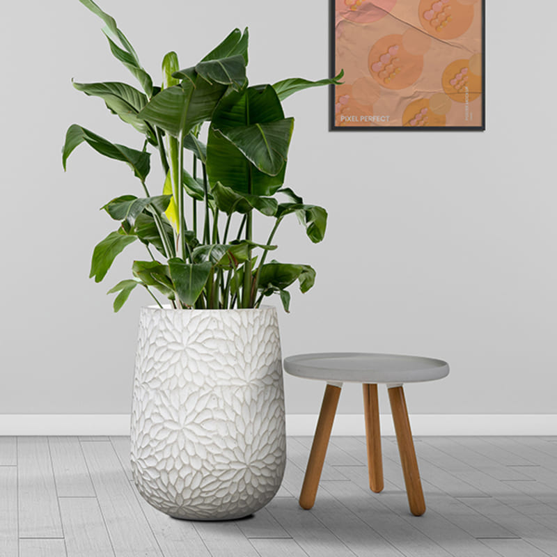 planters for home decor