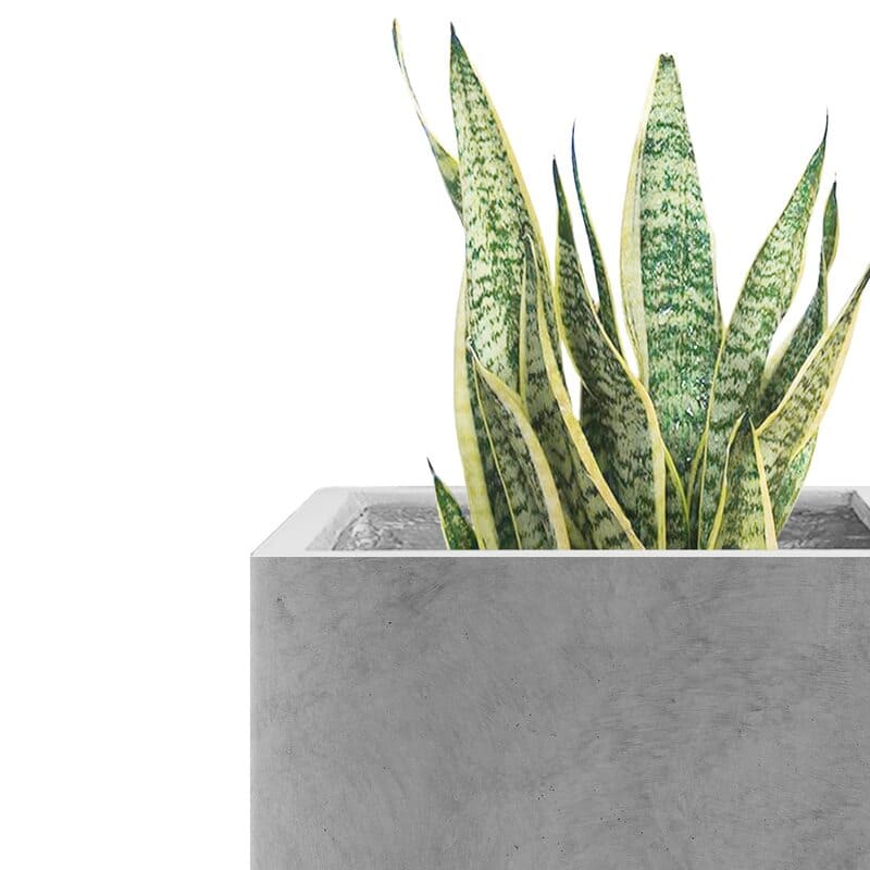 eco-friendly square planters