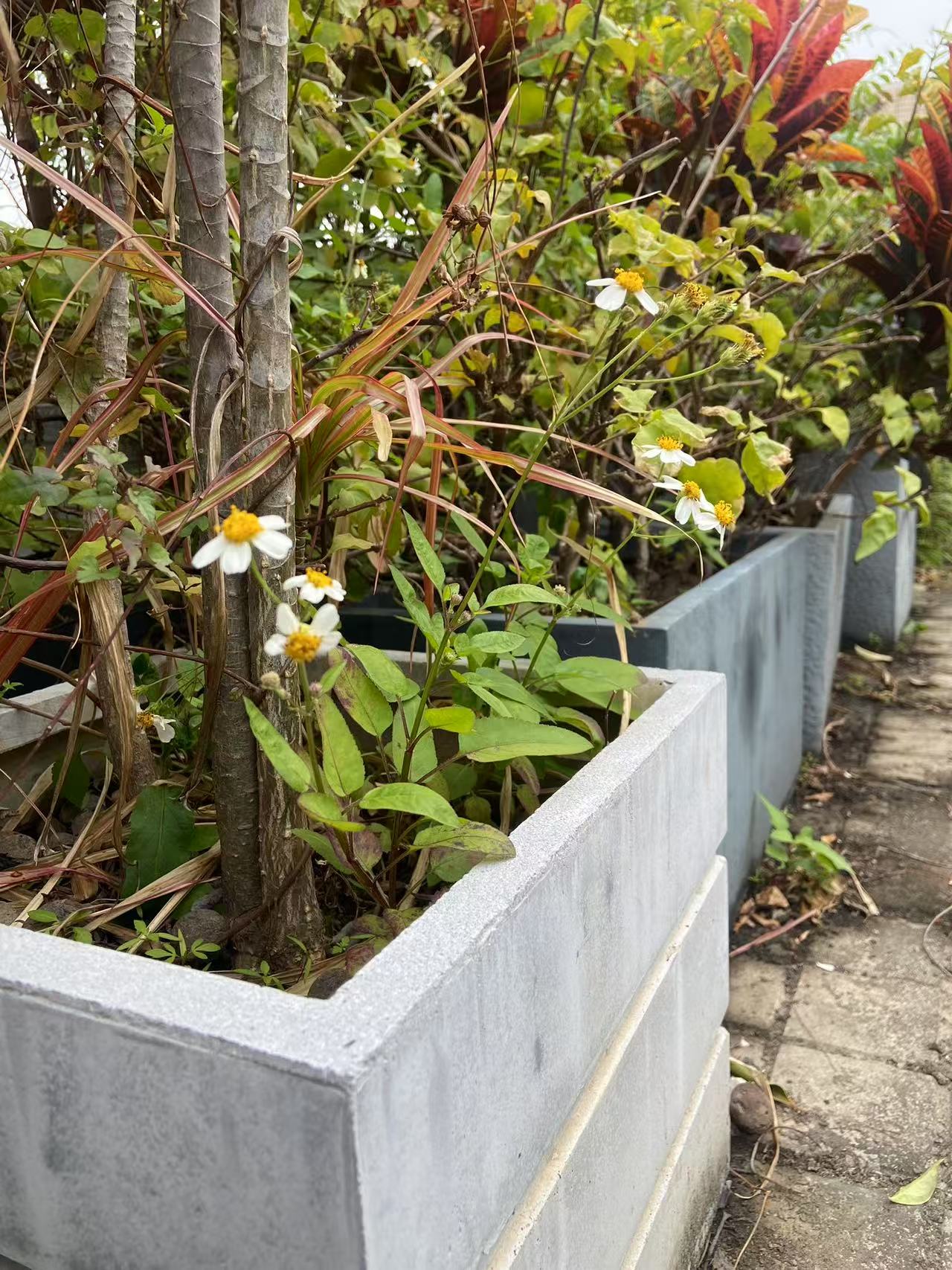 GRC Planter with Plants