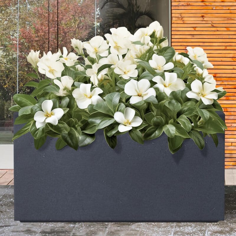 Large Rectangular Lightweight Concrete Planters Box Outdoor RF-2028