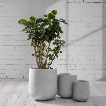 Lightweight Concrete Planter Set