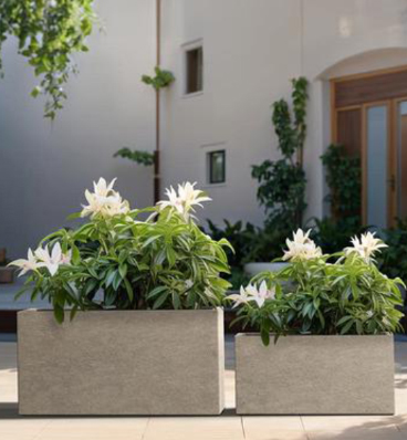 Lightweight Concrete Planters for Wholesale